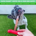 GoSports Chew Champ Bully Stick Holder for Dogs Securely Holds Bully