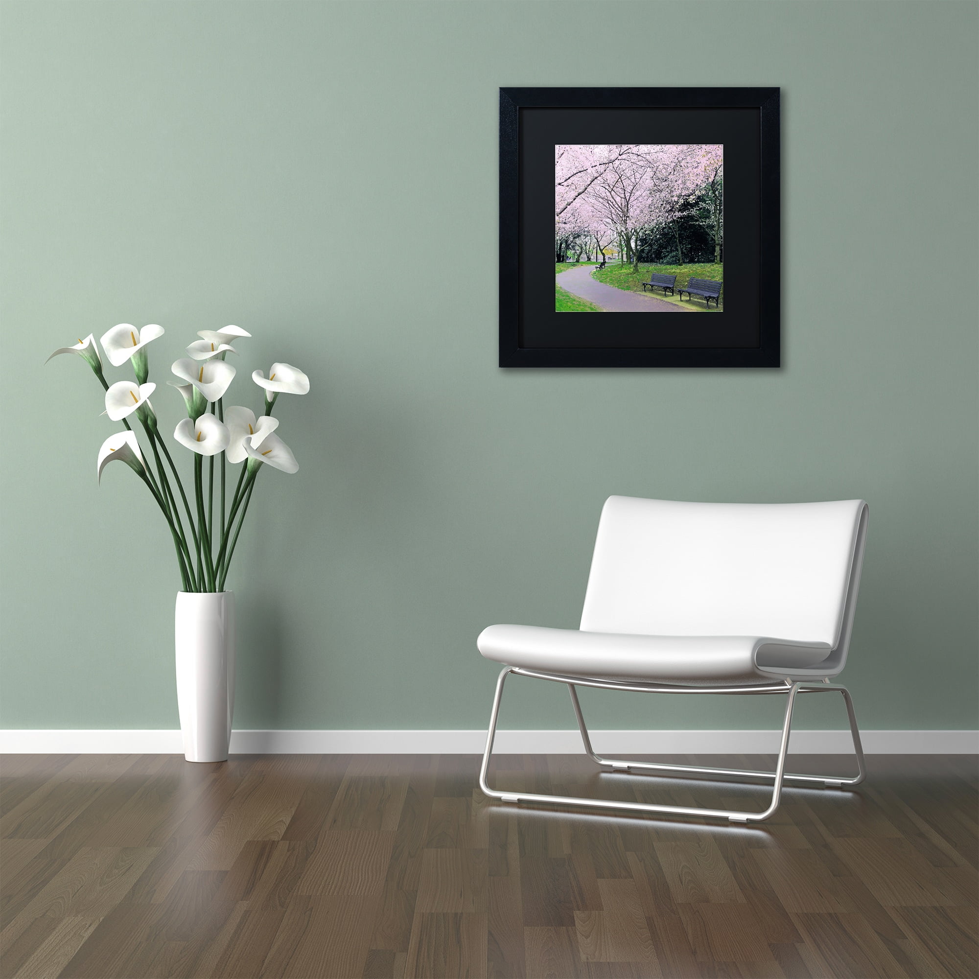 Trademark Fine Art "Spring Path" Canvas Art by CATeyes, Black Matte, Black Frame