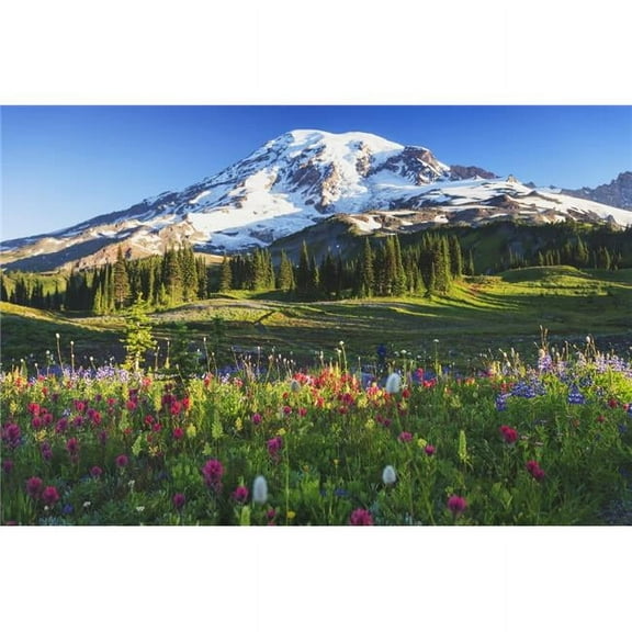 Mount Rainier & Wildflowers in A Meadow Mount Rainier National Park - Washington United States of America Poster Print, 38 x 24 - Large