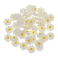 thumbnail image 2 of 50x Resin Daisy Flat Back Cabochon Making Craft Button, 2 of 6