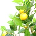 thumbnail image 6 of 5ft Artificial Lemon Tree with Realistic Trunks and Leaves, Fake Pre Potted Fake Lemons Floor Plants, Easy Assembly, Low Maintenance, Ideal for Home Office Porch Decorations, 6 of 8