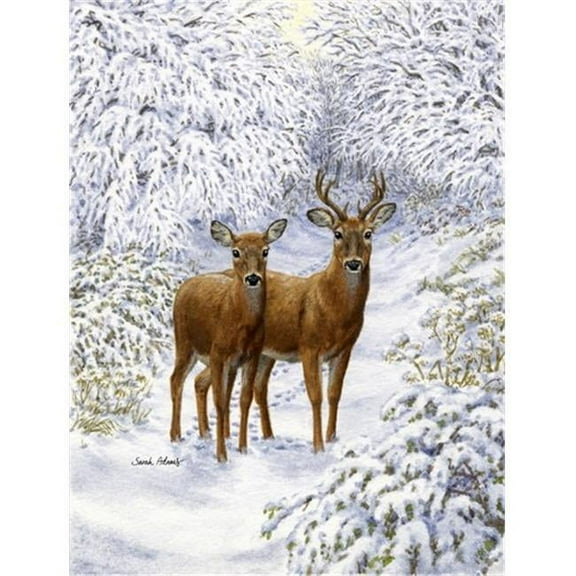 Two Deer Flag Canvas House Size