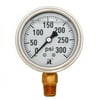 Zenport Industries LPG300 0 - 300 PSI Low Pressure Gauge