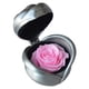 thumbnail image 1 of Decoración de flores eternas caja de hierro rosa con caja de regalo regalo de vacaciones regalo de cumpleaños para amigos y familiares, 1 of 5