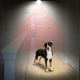 thumbnail image 6 of Motion Sensor Light Bulb- 2 Pack, AmeriTop 10W(60W Equivalent) 806lm Motion Activated Dusk to Dawn Security LED Bulb; UL Listed, A19, E26, Auto On/Off Indoor Outdoor Lighting (5000K Daylight), 6 of 7