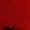 Red+Brown, variant on 2-piece set Women's seamless tie-dye sports shorts High waist tight buttock lifting hip yoga fitness sports cycling shorts