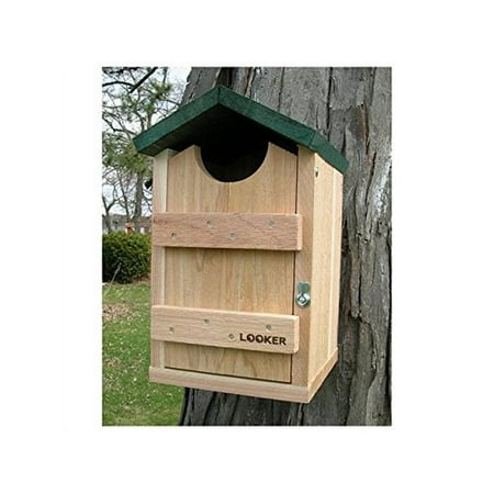 - Songbird Essentials SE519 Screech Owl House (Set of 1)