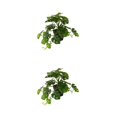 thumbnail image 4 of Plantas artificiales Toystoory Hoja de tortuga Planta falsa Hojas falsas para boda Sala de estar Jardín Decoración de pared, 4 of 6