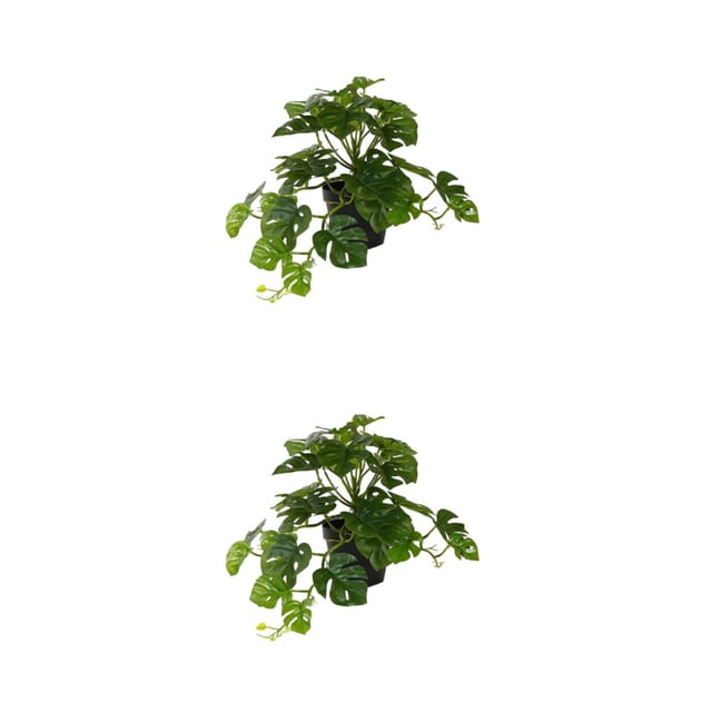 Injueey Plantas artificiales con maceta, hoja de tortuga, planta falsa, hojas de goma suave para boda, hogar, jardín, pared, regalo de Type1 NO1