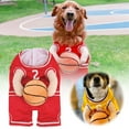 thumbnail image 2 of Dog Basketball - Dog Basketball Halloween Outfit for Pet Players Ideal for Parties and Events, 2 of 7