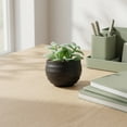 thumbnail image 4 of REGALWOVEN Gothic Humanoid Artificial Succulent, Sitting Person Small Faux Greenery for Desk, Shelf 3.14 in Jade Leaf Bright Green, 4 of 5