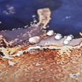 thumbnail image 4 of Cortina de ducha de tela moderna de lujo azul con pintura de arte abstracto de mármol azul marino, juegos de cortinas de ducha para baño pequeños, cortina de baño impermeable, 4 of 5