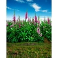 thumbnail image 1 of BSDHOME Polyester Landscape Pink Flowers Grass Photography Backdrops Photo Props Studio Background 5x7ft, 1 of 2