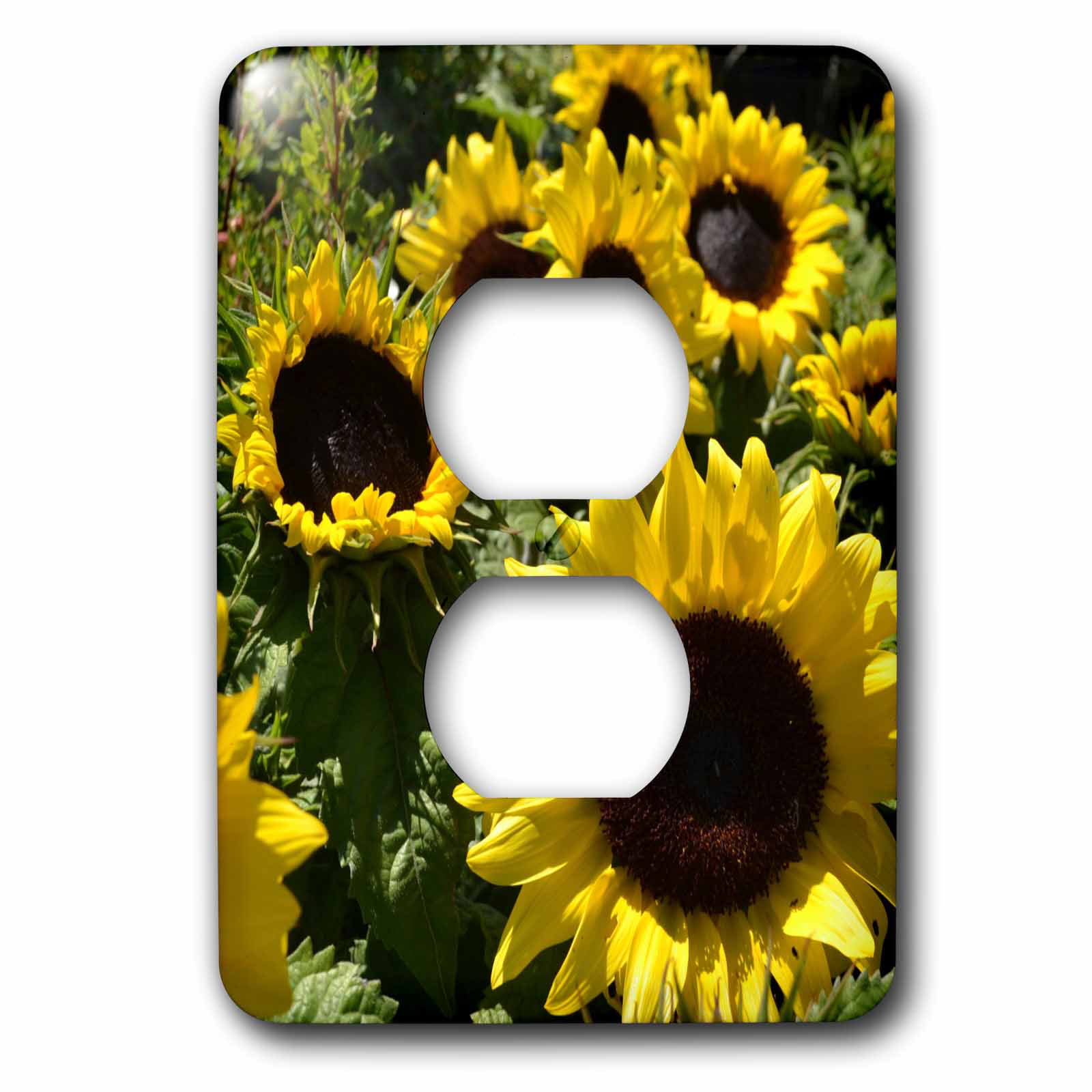 Bright Sunflower Petal Design Flowering Plant Single Outlet Wall Plate/Panel Plate/Cover Light Panel Cover 1-Gang Device Receptacle Wallplate 