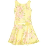 George - Girl's Drop Waist Spring Floral Dress