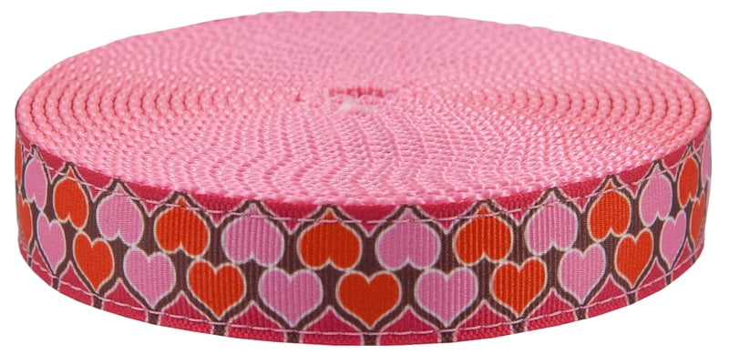 Country Brook Design® 1 Inch Hot Pink Heavy Nylon Webbing 50 Yards