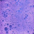 thumbnail image 1 of Ahgly Company Machine Washable Indoor Square Transitional Aztech Purple Area Rugs, 4' Square, 1 of 7
