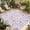Purple, variant on Purple Flowers Outdoor Rug for Patio/Deck/Porch, Non-Slip Large Area Rug 6 x 9 Ft, Vintage Country Plants Floral Herbs Indoor Outdoor Rugs Washable Area Rugs, Reversible Camping Rug Carpet Runner
