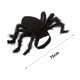 thumbnail image 4 of Disfraz de araña para Halloween para gatos y perros pequeños | Correas ajustables con hebilla | Diseño de araña de peluche de ocho patas | Tela ligera y cómoda | Disfraz para fiesta de Halloween |, 4 of 8