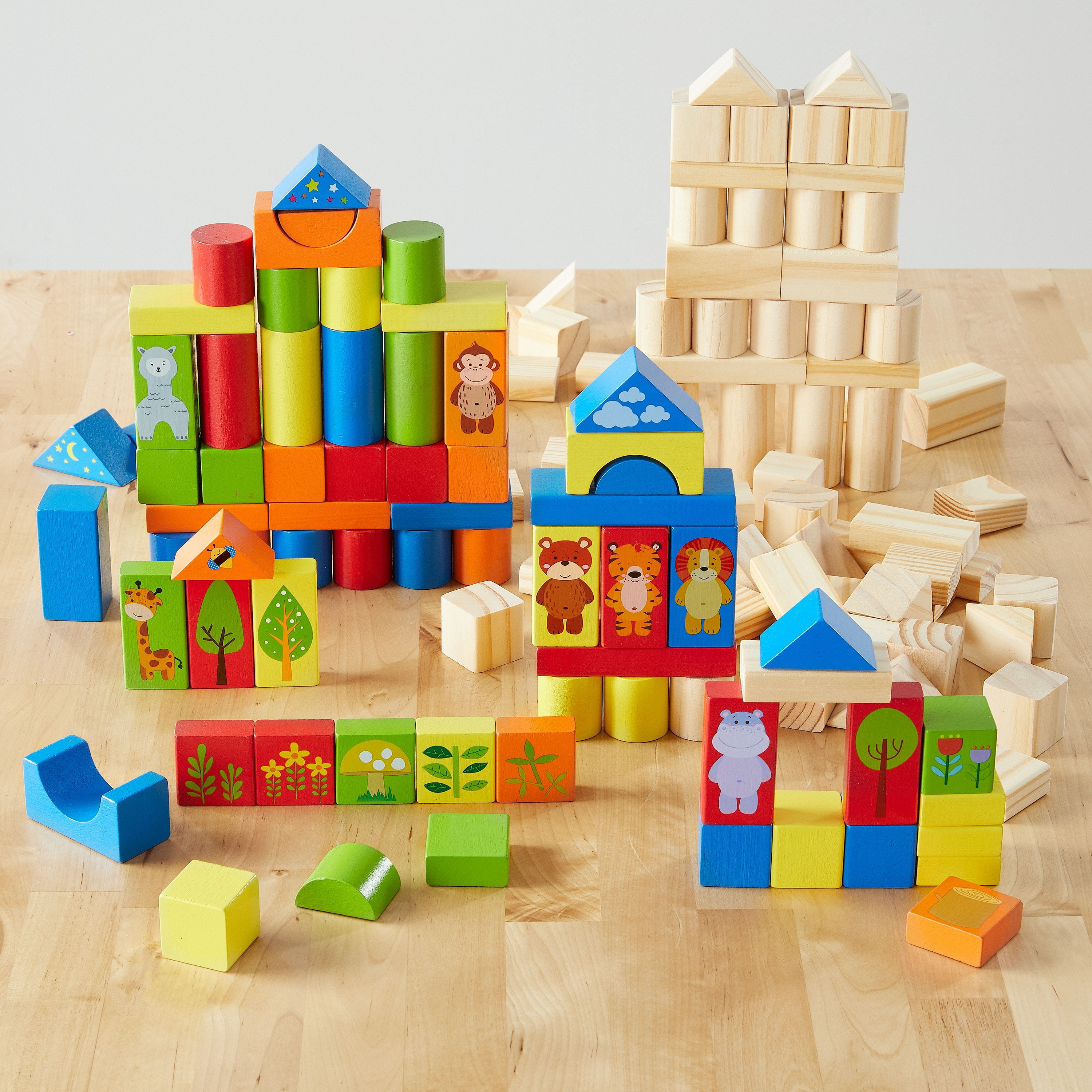 first learning wooden blocks with shape sorting lid