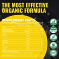thumbnail image 3 of Gomitas de monohidrato de creatina Nature's Aid (5 g): Energía preentrenamiento y apoyo para el crecimiento muscular para hombres y mujeres | Gomitas de piña con electrolitos (135 unidades), 3 of 5