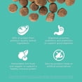 thumbnail image 5 of GO! SOLUTIONS CARNIVORE Sans Grains Poulet, Dinde + Canard Recette pour Chiens Adultes, 5 of 5