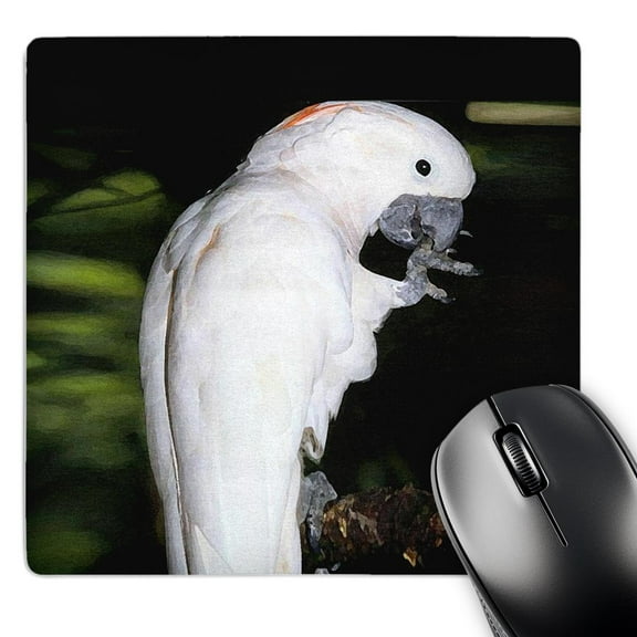 3dRose, Moluccan Cockatoo, MousePad