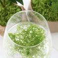 thumbnail image 4 of Simulated Artificial Turf Landscape Decoration Light Green/Green 100G/500G Light Green, 4 of 9