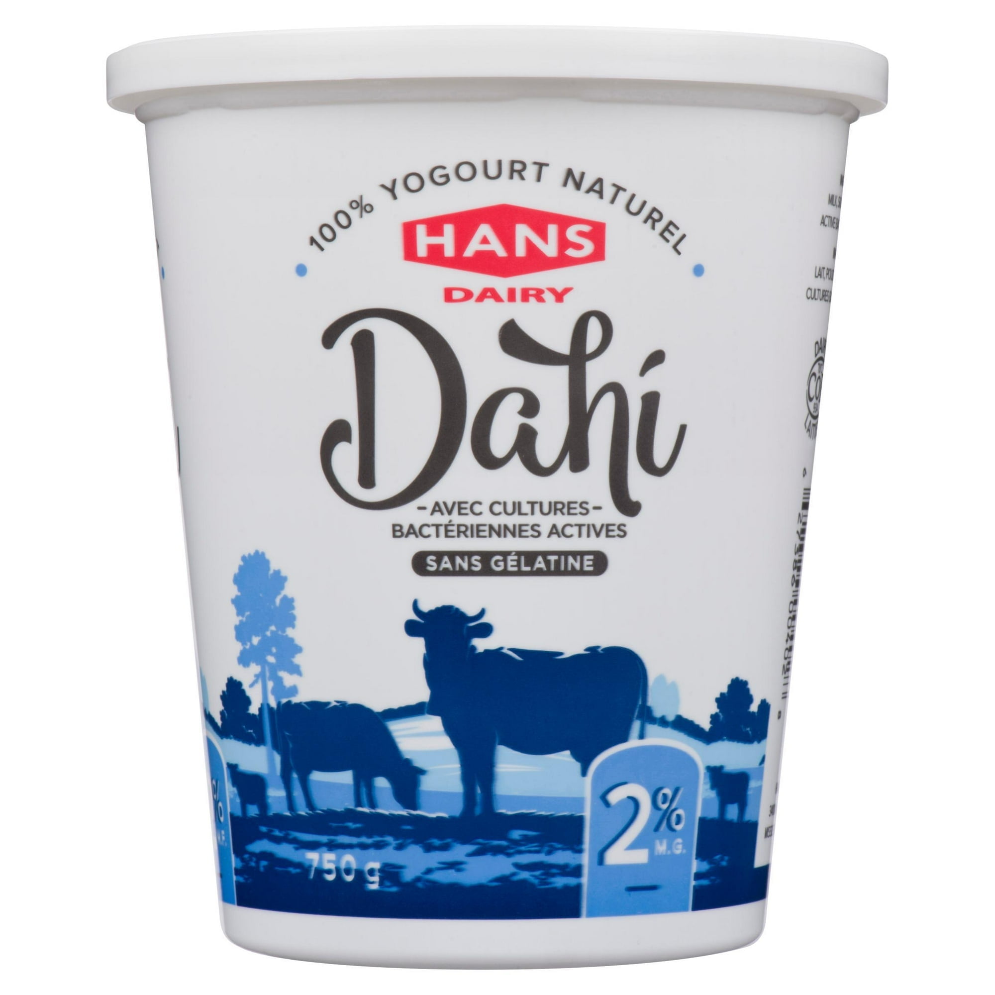 Yogourt nature Dahi de Hans Dairy à 2 % M.G.