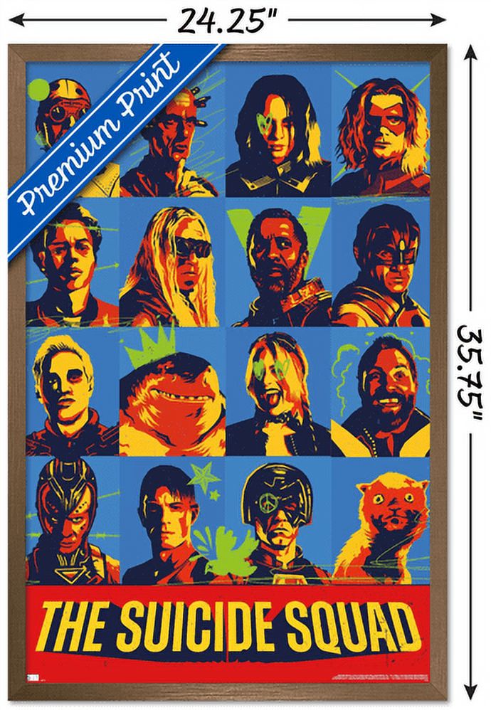 DC Comics Movie The Suicide Squad - Grid Wall Poster, 22.375" x 34", Framed