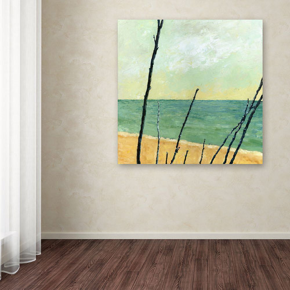 Trademark Fine Art "Branches on the Beach" Canvas Art by Michelle Calkins