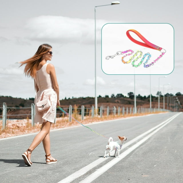 WEUVEB Laisse pour Chien Portable Robuste en Couleurs Assorties avec Métal Résistant à l'Usure pour Usage Extérieur