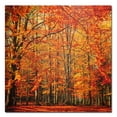 thumbnail image 2 of Trademark Art "Red November" Canvas Wall Art by Philippe Sainte-Laudy, 2 of 4