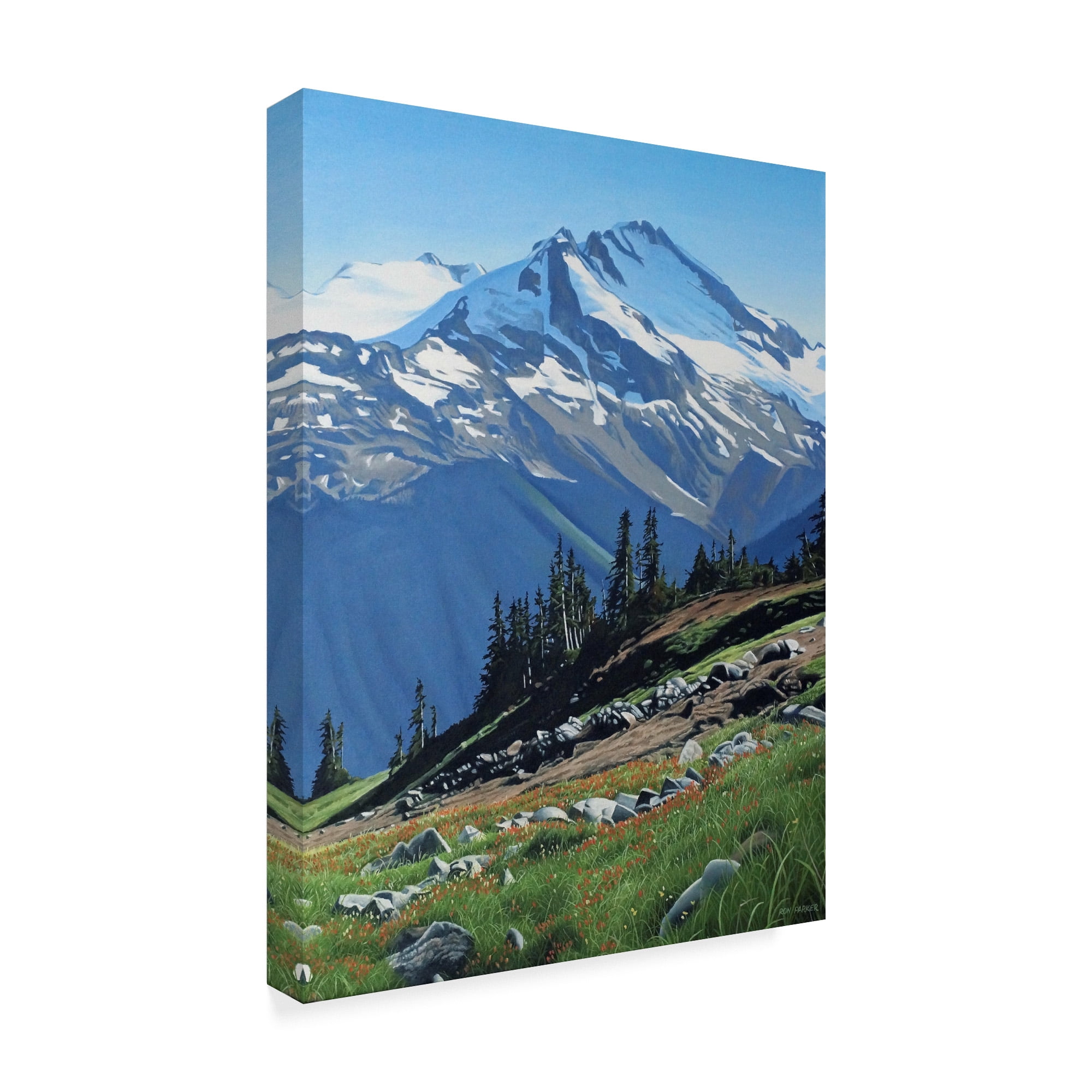Trademark Fine Art 'Summer Mountain' Canvas Art by Ron Parker