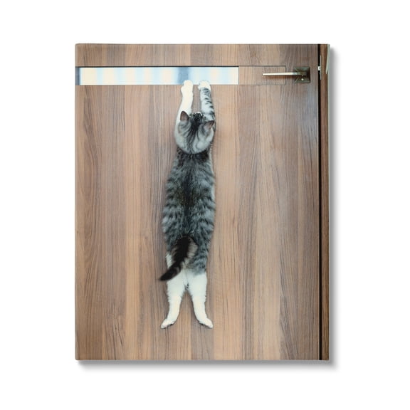 Stupell Industries Desperate Cat Escaping Animals & Insects Photography Gallery Wrapped Canvas Art Print Wall Art, 24 x 30