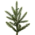 thumbnail image 2 of Vickerman 14' x 89" Fresh Fraser Fir Artificial Christmas Tree, Unlit, 2 of 3