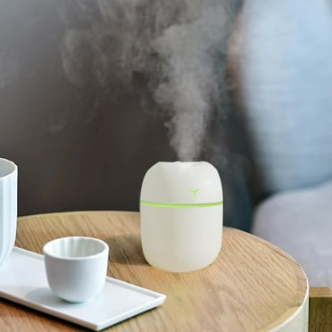 kladzum Portable Mini Humidifier 220ml Small Cool Mist Humidifier USB Desktop Humidifier for Baby Bedroom Travel Office Home Auto Shut-Off 2 Mist Modes Super Quiet, Small Humidifier on Clearance