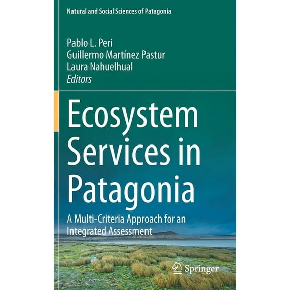 Natural and Social Sciences of Patagonia Ecosystem Services in Patagonia: A Multi-Criteria Approach for an Integrated Assessment, (Hardcover)