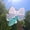 White, variant on 2PCS 24-Inch Colorful Bow Aluminum Foil Balloons for Weddings, Birthdays, and Parties
