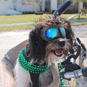 Dog Sunglasses Dog Goggles, UV Wind Dust Snow Fog Protection Soft Frame Pet Glasses Eye Wear with Adjustable Strap for Small to Medium Breed