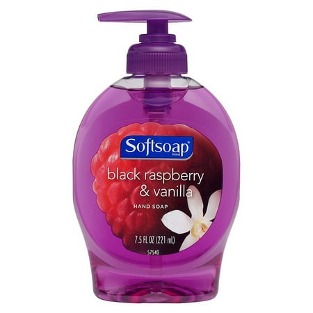 UPC 074182295226 product image for Softsoap Black Raspberry & Vanilla Liquid Hand Soap, 7.5 oz | upcitemdb.com