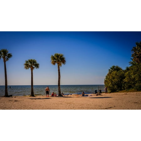 Canvas Print Florida Pine Island Seascape Shore Sunlight Beach Stretched Canvas 10 x