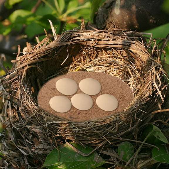 Soimiss Coconut Fiber Breeding Eggs Mat Bird Nest Bed Moisture Control 5Pcs
