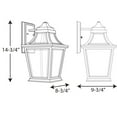 thumbnail image 7 of Endorse Collection One-Light Medium Wall Lantern, 7 of 7