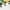Green Blue White Yellow Red Purple, variant on Gradient Rainbow Marble 30%-50% Blackout Curtains Black Butterfly Curtains & Drapes 2 Panels 38"Wx45"L,Gold Marbling Curtains Abstract Ombre Art Window Curtains
