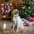 thumbnail image 2 of Collar para perro ADOGGYGO con forma de árbol de Navidad, ajustable, suave, pequeño, 2 of 4