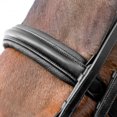 thumbnail image 3 of Horze Vienna Weymouth Dressage Bridle, 3 of 7