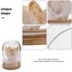thumbnail image 3 of Racimo de flores de diente de cristal, árbol de cristal, cúpula de vidrio, base de madera, piedras de cristal de la suerte para meditación, yoga, atracción, decoración del hogar y la oficina, 3 of 7