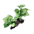 thumbnail image 1 of Plantas artificiales para , decoración de pecera, paisajismo, escondites de peces, decoración de , plantas artificiales para terrario de, 1 of 8