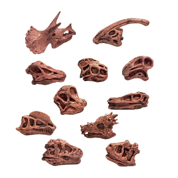 Ancient Animals Skeleton Model Kit - Realistic Dinosaur Fossil Skull Bones, 8 Inch Science Classroom STEM Learning, Dinosaur Archaeology Decor, Educational Toys Collection